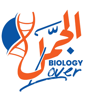 ���� ������� ��� ������ ����� �� �������